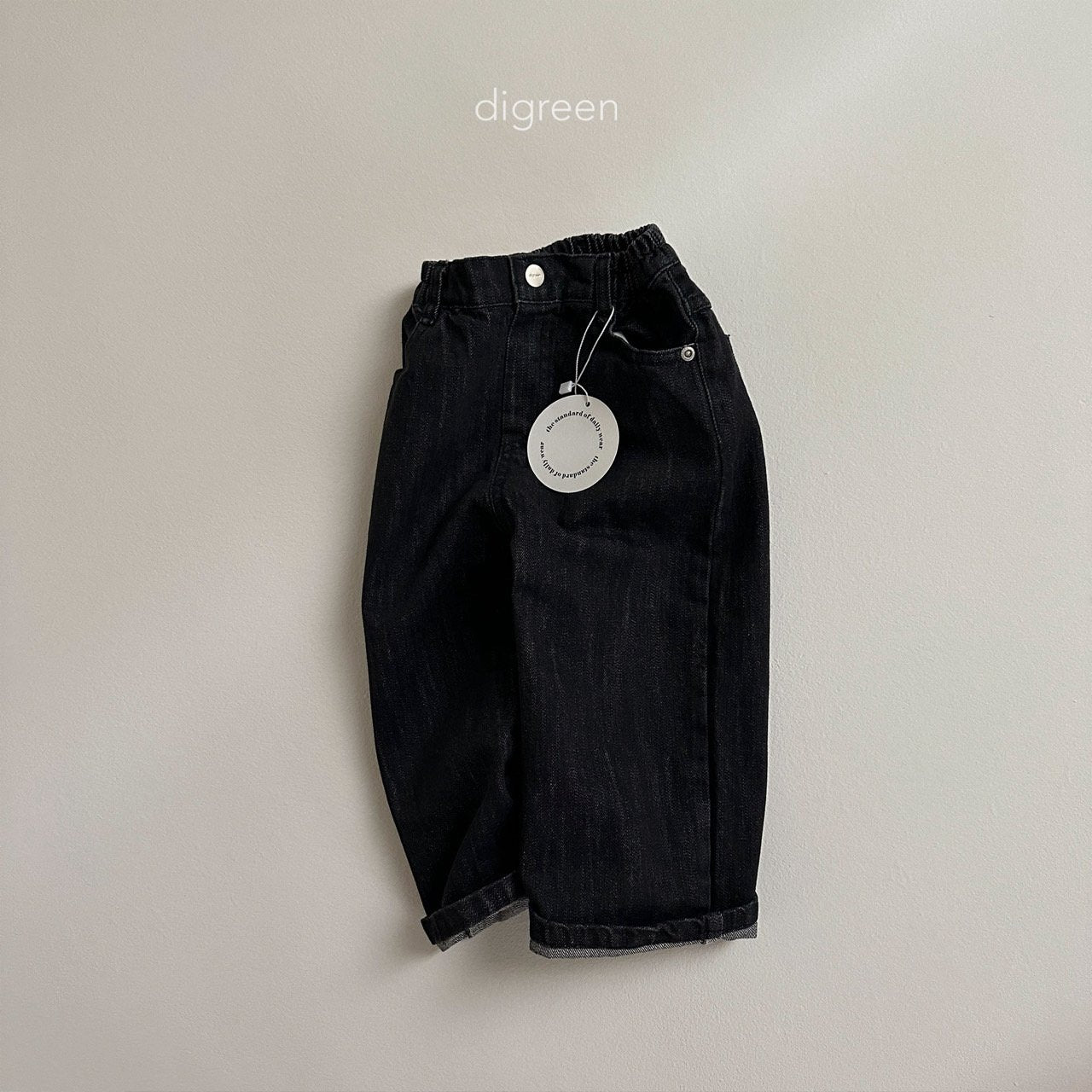 【韓国直送】Wide Dennim pants  / 2color / S(90)-XXL(130) / Digreen 2024fw